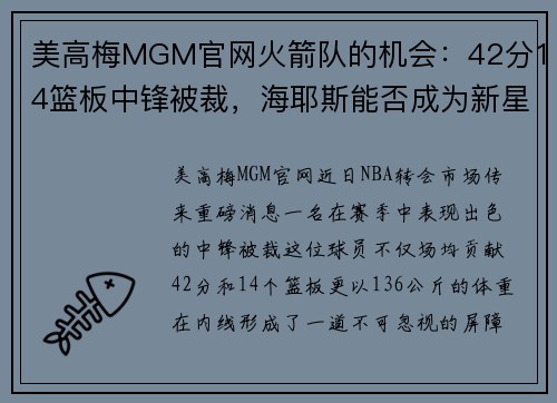 美高梅MGM官网火箭队的机会：42分14篮板中锋被裁，海耶斯能否成为新星？
